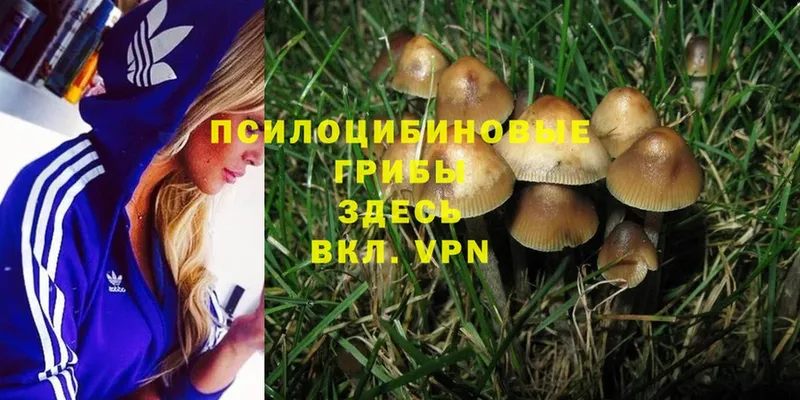 Псилоцибиновые грибы MAGIC MUSHROOMS  Миньяр 